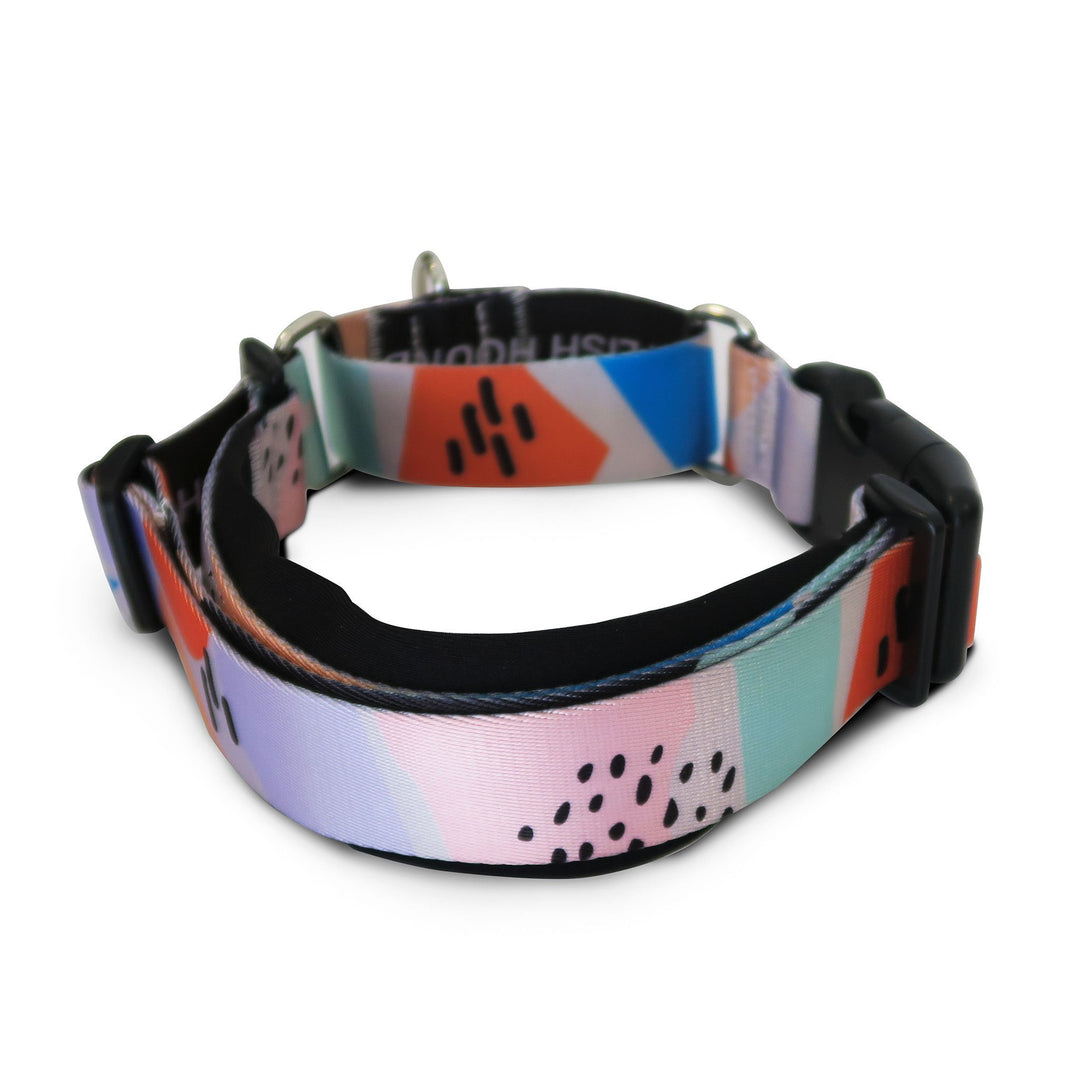 Newtown Martingale Dog Collar Afterpay Stylish Hound