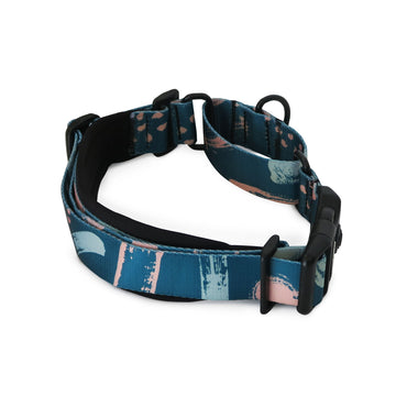 Dog store collars afterpay