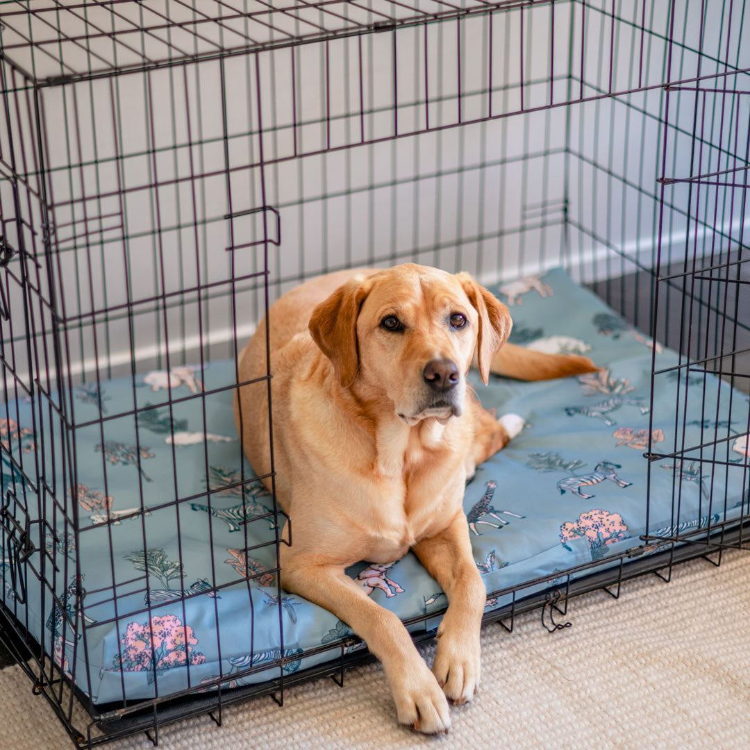 Safari Dog Crate Mattress Cover Afterpay Stylish Hound
