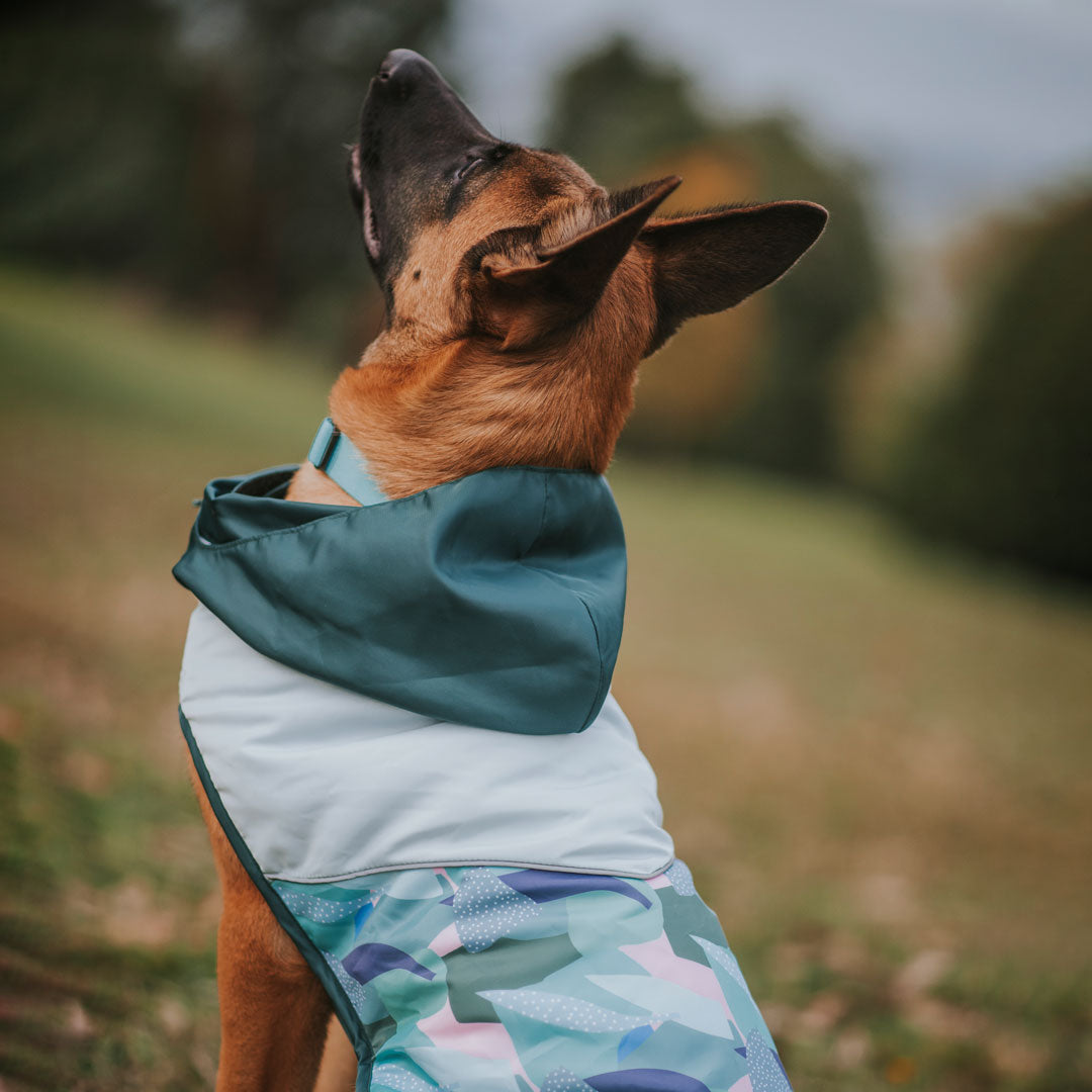 Reversible Raincoat Puffer