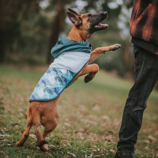 Neo Puffer Reversible Raincoat