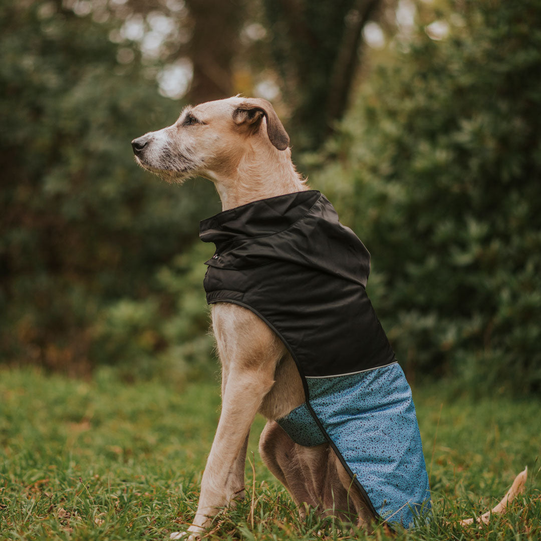 Reversible Raincoat Puffer