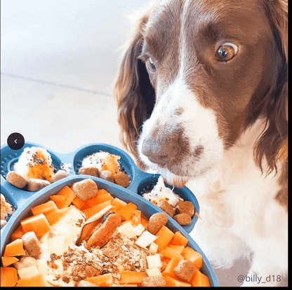 2in1 Lick Bowl Slow Feeder