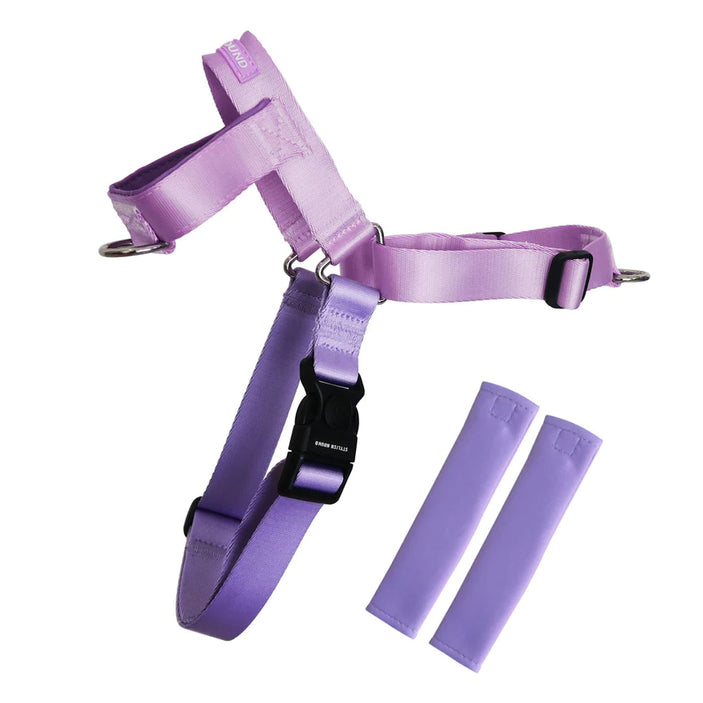 Sorbet OG No-Pull Training Harness - Sorbet