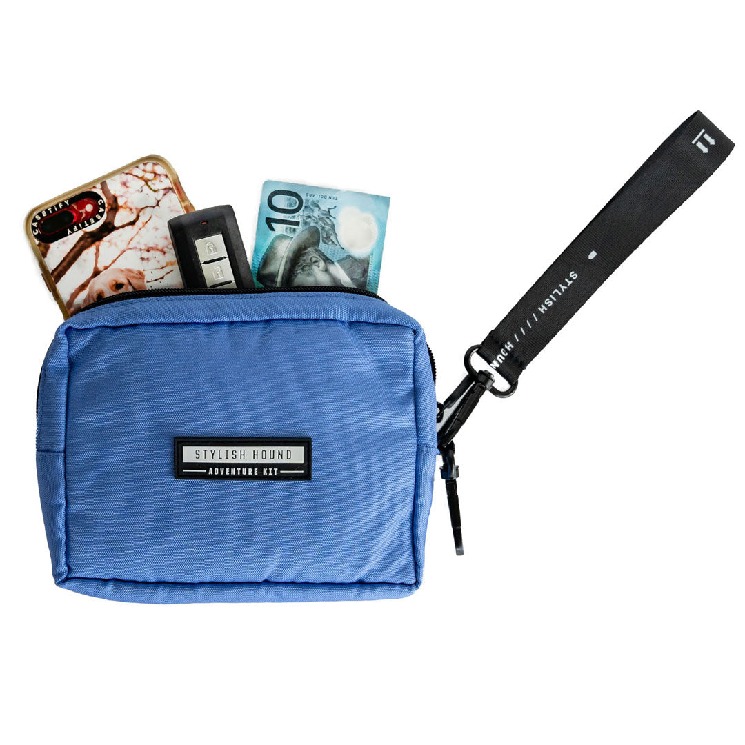 Violet Express Pouch - Violet