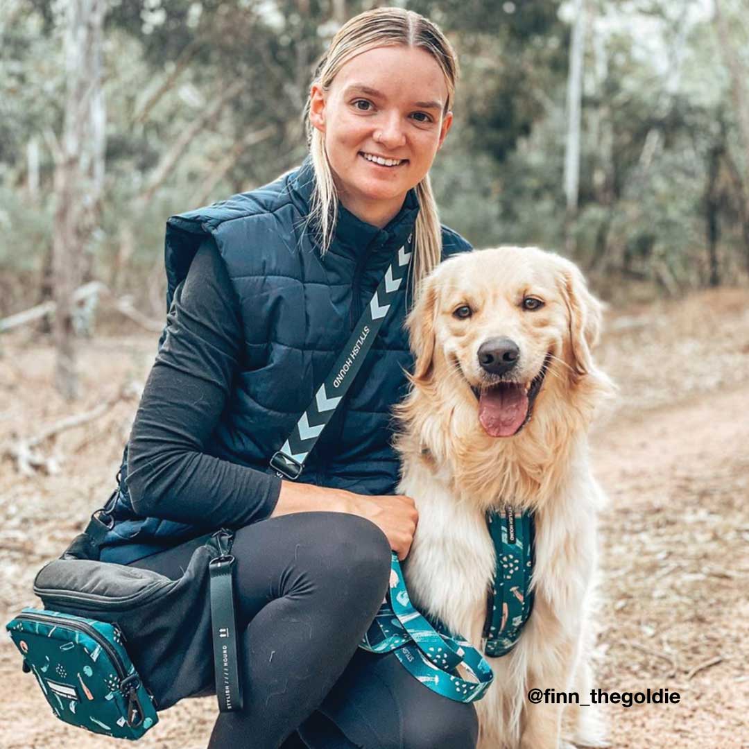 Nova Explorer Chest Plate - Nova